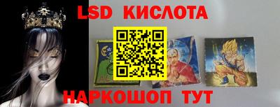 шишки Лесосибирск