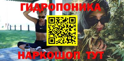 шишки Лесосибирск