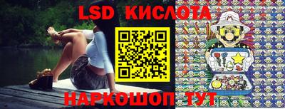шишки Лесосибирск
