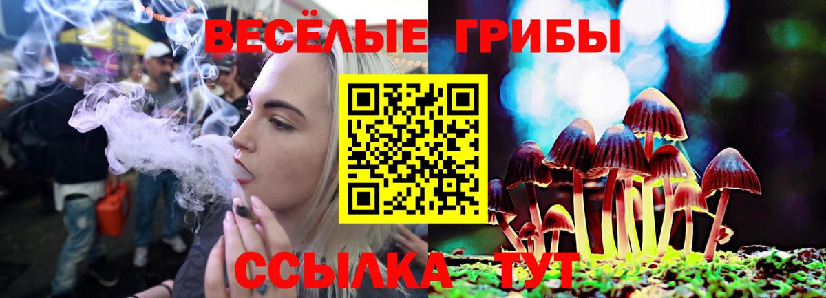 Псилоцибиновые грибы прущие грибы Гудермес